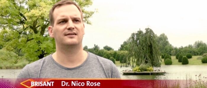 Nico Rose | Brisant ARD | Katzenvideos