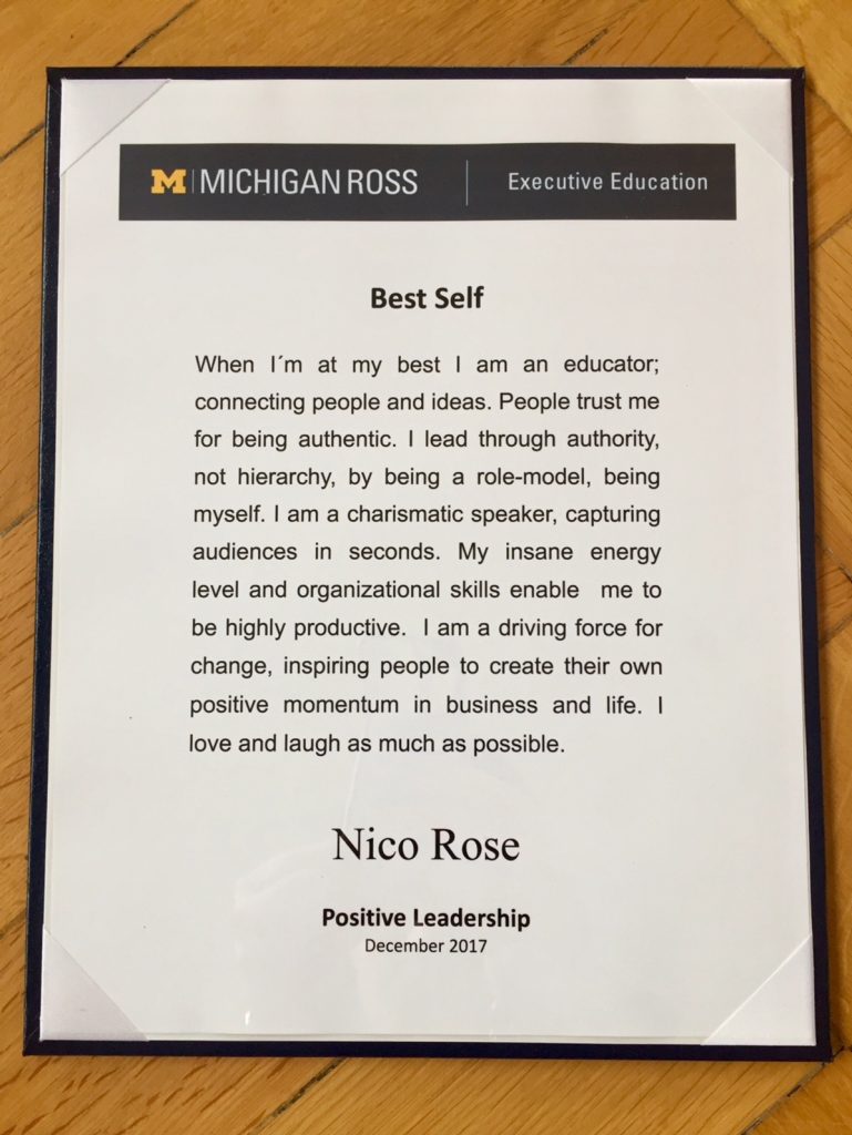 Nico Rose | Reflected Best Self